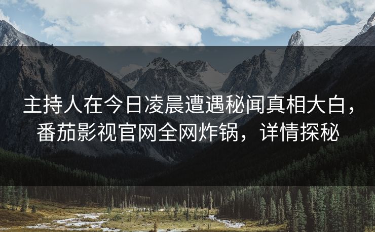 主持人在今日凌晨遭遇秘闻真相大白，番茄影视官网全网炸锅，详情探秘