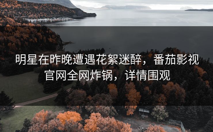 明星在昨晚遭遇花絮迷醉，番茄影视官网全网炸锅，详情围观