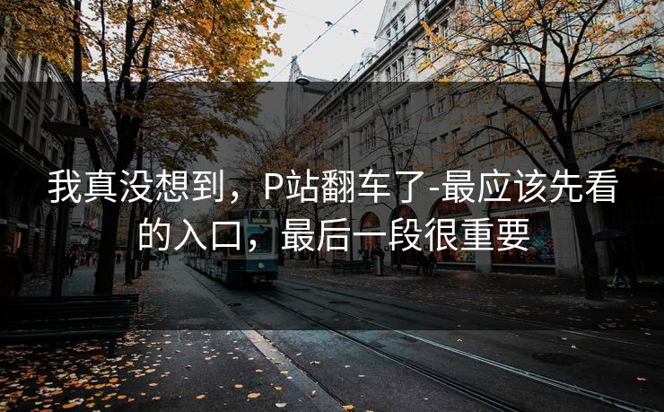 我真没想到，P站翻车了-最应该先看的入口，最后一段很重要